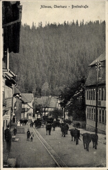 Postcard Altenau Clausthal Zellerfeld in the Upper Harz, Breitestraße, street with cattle