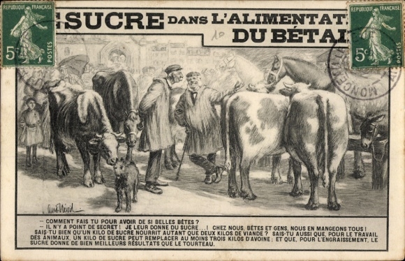 Künstler Ak Le Sucre dans l'Alimentation du Betail, Reklame, Viehmarkt