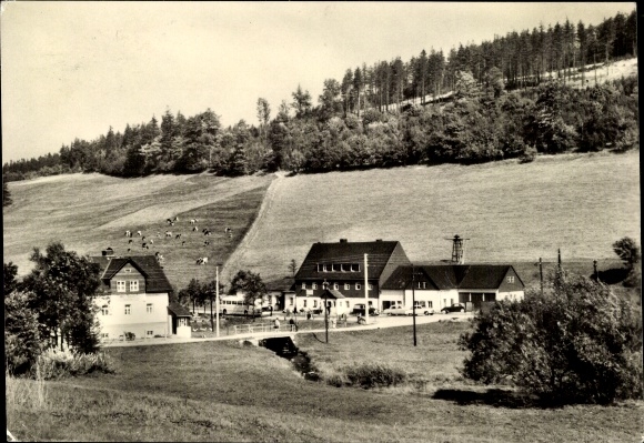 Ak Liebenau Altenberg im Erzgebirge, Landschaftsaufnahme, Gasthof Rehfeld, Wiesen, Wälder, Kühe