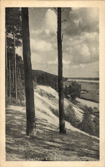 Postcard Geesthacht on the Elbe, partial view, trees