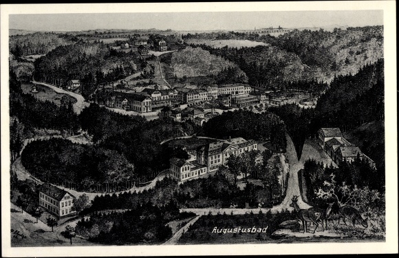 PC Liegau Augustusbad Radeberg, total view, deer