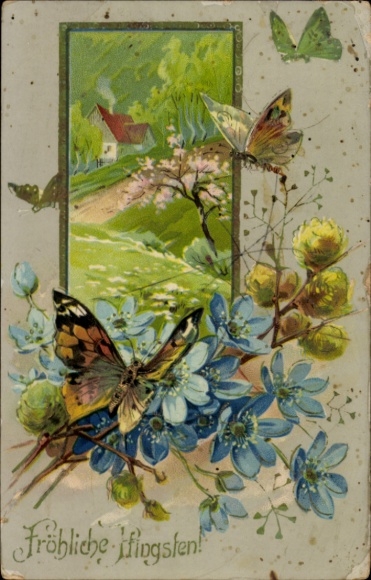 Ak Glückwunsch Pfingsten, Schmetterlinge, Blumen