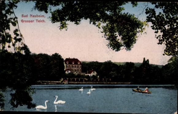 Postcard Bad Nauheim in Hessen, Grosser Teich. - Buildings, trees, pond, 4 swans, 1 boat with person