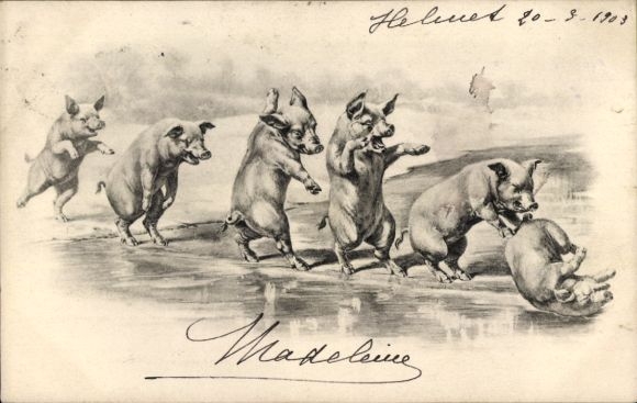 Postcard Happy New Year, pigs walking on two legs balancing over a river