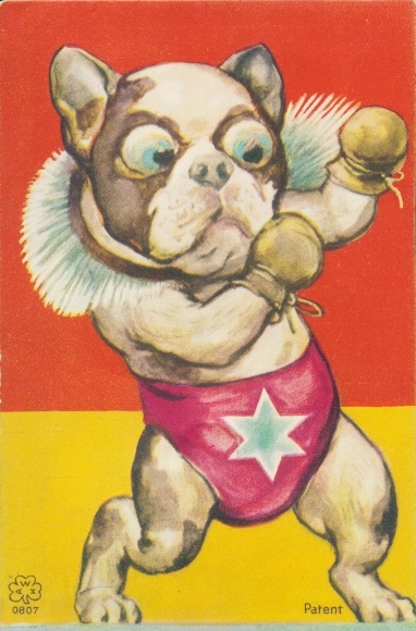 Postcard dog as a boxer, boxing gloves, training