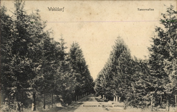 Ak Hamburg Wandsbek Wohldorf Ohlstedt, Tannenallee
