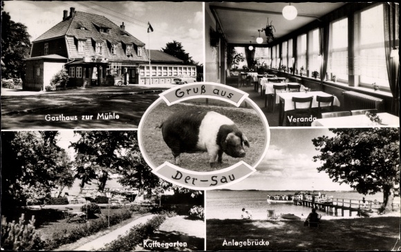 Ak Dersau im Plöner Land, Gasthaus und Pension Zur Mühle, Veranda, Kaffeegarten