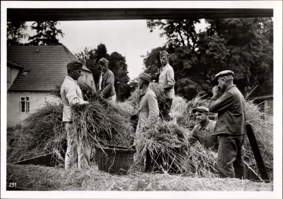 Photo H. Hoffmann, Wehrmacht soldiers help German farmers with the harvest, August 1939