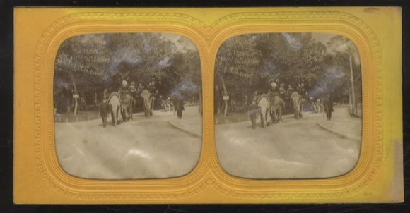 Stereo Foto, Halt gegen das Licht, Kinder auf Elefanten reitend, Ziegenkarren, in einem Zoo?