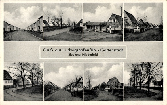 Ak Niederfeld Gartenstadt Ludwigshafen am Rhein, Teilansichten