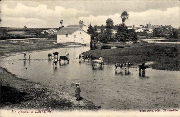 Postcard Lacuisine Wallonia Luxembourg, cattle refreshing themselves in the Semois, place