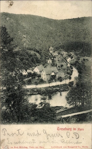Ak Treseburg Thale im Harz, Teilansicht
