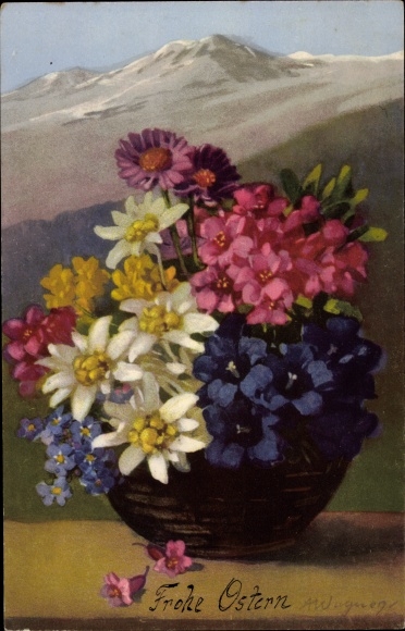 PC Nenke and Ostermaier series 588, mountain flowers, gentian, edelweiss, photochromia