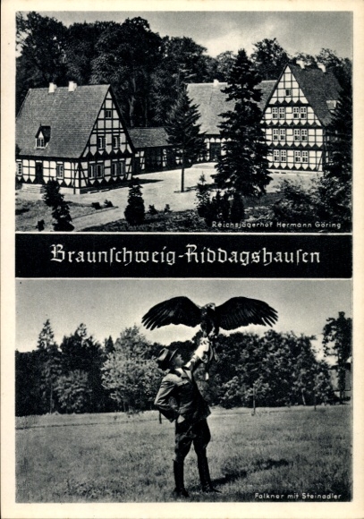 Postcard Riddagshausen Braunschweig in Lower Saxony, Reichsjägerhof H. Göring, falconer with golden eagle