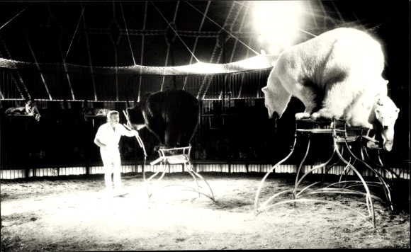 Photo Circus Barum, polar bear training, brown bear, tamer