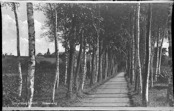 12 Negative von Falkenburg in Pommern, Schloss, Volkshochschule, Vansowstraße etc.