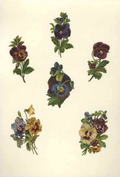6 Oblaten Stiefmütterchen, je ca. 8 x 4,5 cm