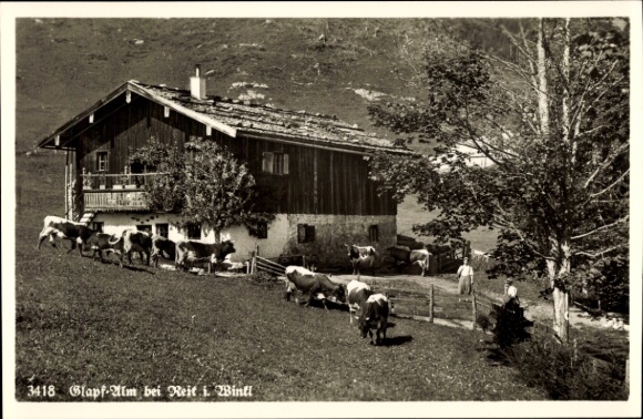 Postcard Reit im Winkl, Glapf Alm with cattle herd and house view