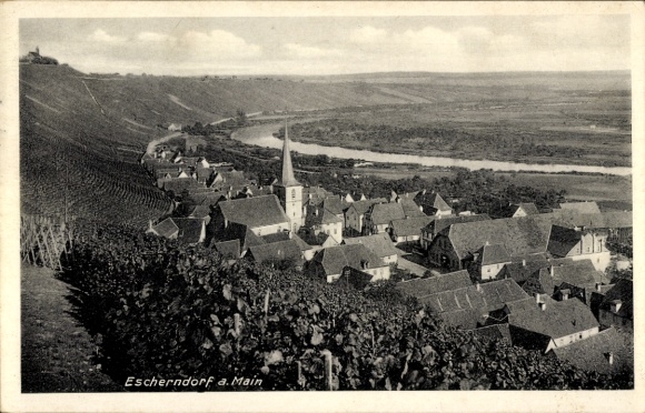 Postcard Escherndorf Volkach in Lower Franconia, view of Escherndorf, vineyards, river, church