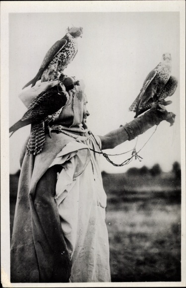 Postcard Fauconnier Arabe, Arabian falconer, falcon on arm
