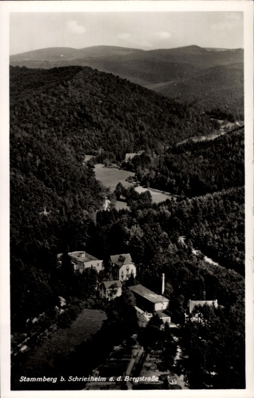 Ak Stammberg Schriesheim an der Bergstraße, Fliegeraufnahme