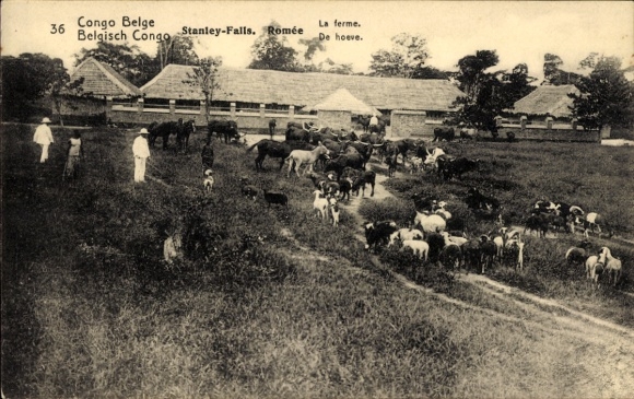 Postal stationery Postcard DR Congo Zaire, Stanley Falls, Romee, Farm