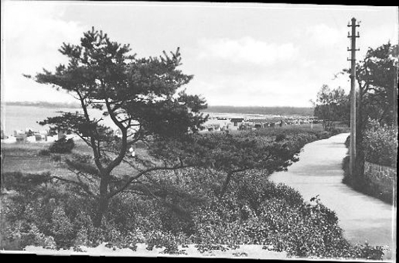 17 Negative Timmendorfer Strand, Dampfer, Strand, Promenade, Allee