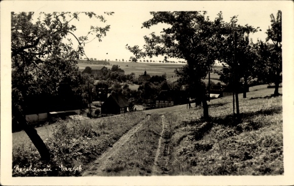 Photo Postcard Reichenau in the Erzgebirge, partial view