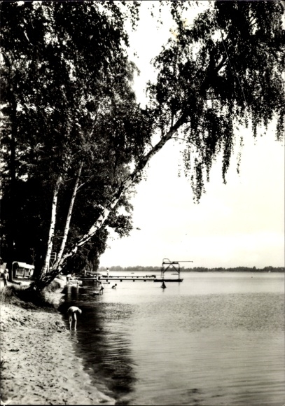 Ak Klausdorf am Mellensee Brandenburg, See, Sandstrand, Birken, Steg, schwimmende Personen