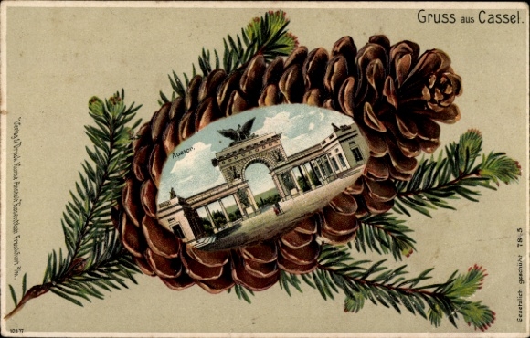 Pine cones embossed litho Kassel in Hesse, Auetor