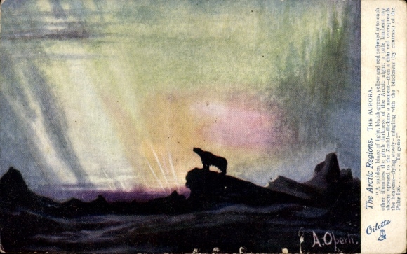 Artist Postcard Oberti, A., The Arctic Regions, The Aurora, Eisbär, Tuck 7239