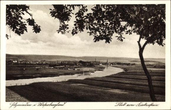 Ak Holzminden in Niedersachsen, Panorama