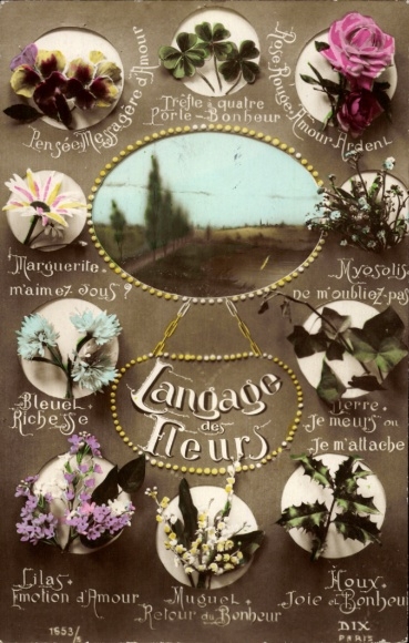 Ak Langage des Fleurs, Landschaft, Blumen, Rosen, Margeriten, Lilien, Kleeblätter