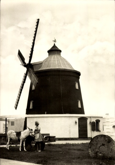 Postcard Neustadt Halle an der Saale, HO Restaurant Eselsmühle, donkey, windmill