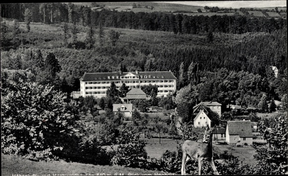 Postcard Hochwaldhausen Grebenhain Hesse, Pension Waldcafé, owner O. Emrich, deer