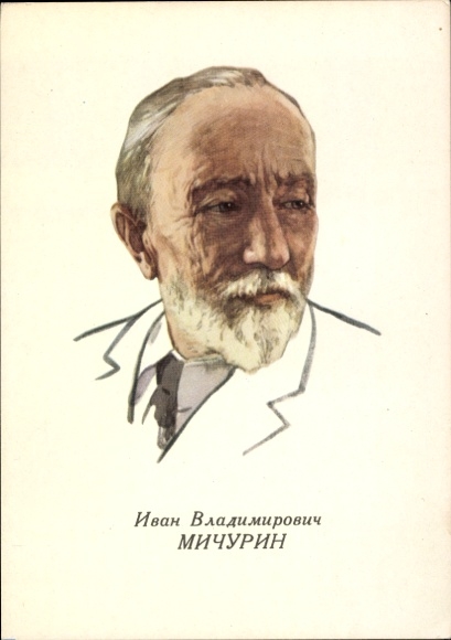 KP botanik Iwan Władimirowicz Michurin, portret