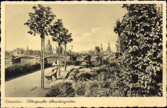 10 alte Ak Dresden, diverse Ansichten