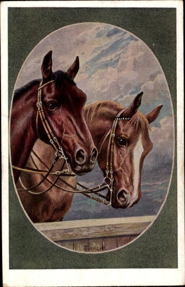 Artist Postcard Trache, R., Two English Half-Blood Horses
