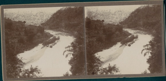 Stereo photo Jamaica, 1915, river section, primeval forest, jungle