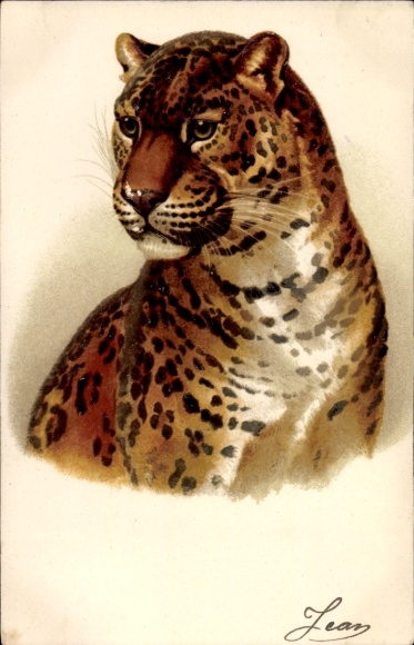 Embossed Chromo-Litho Big Cat, Leopard