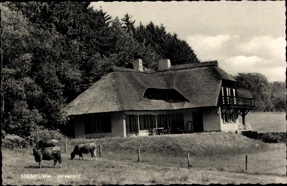 Postcard Steimel in the Westerwald, Luisenhof, pasture