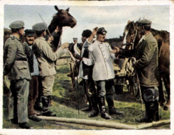 Collector's picture The World War 1918 The German advance in the East No. 197, buying horses in the Ukraine