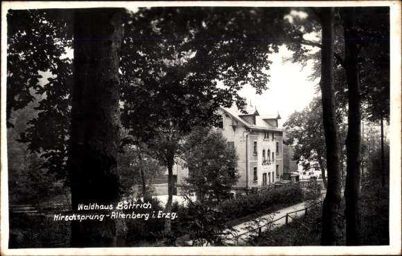 Photo Postcard Hirschsprung Altenberg in the Ore Mountains, Waldhaus Böttrich