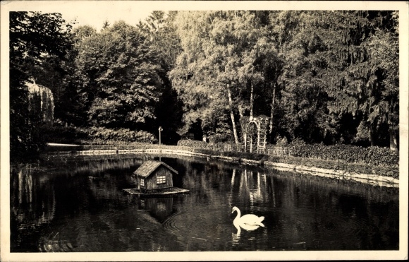 Foto Polczyn Zdrój Bad Polzin Pommern, Karpfenteich, Schwäne