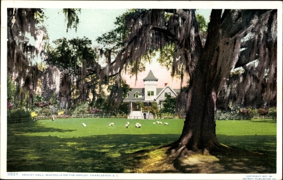 Ak Charleston South Carolina Verenigde Staten, Magnolia op de Ashley, Ashley Hall