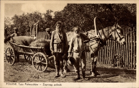 KP Polesie, Typy Poleszkow, Zaprzeg poleski