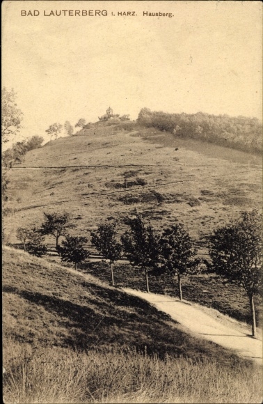 Ansichtkaart Bad Lauterberg in de Harz, lokale berg