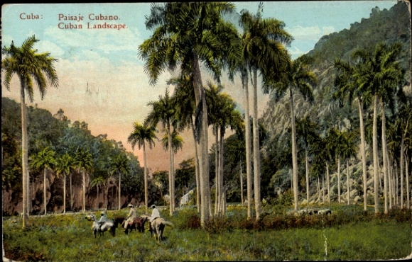Postcard Kuba, Cuban Landscape