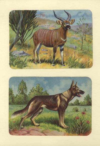 Oblaten / Glanzbilder Antilope und Schäferhund, je ca. 12 x 17 cm