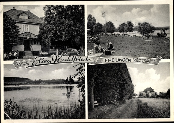 Ak Freilingen in het Westerwald, herberg en pension Haus Waldfriede
